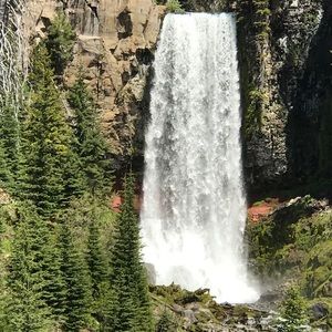 Meet your Posher, Tara